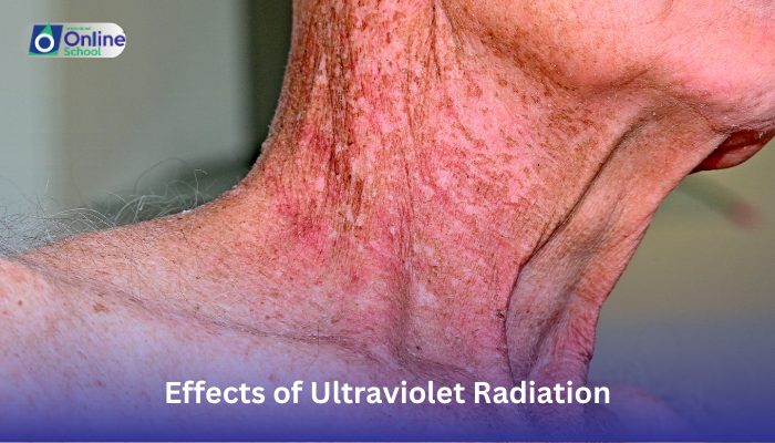 Lesson 21: Explaining Effects of Ultraviolet Radiation